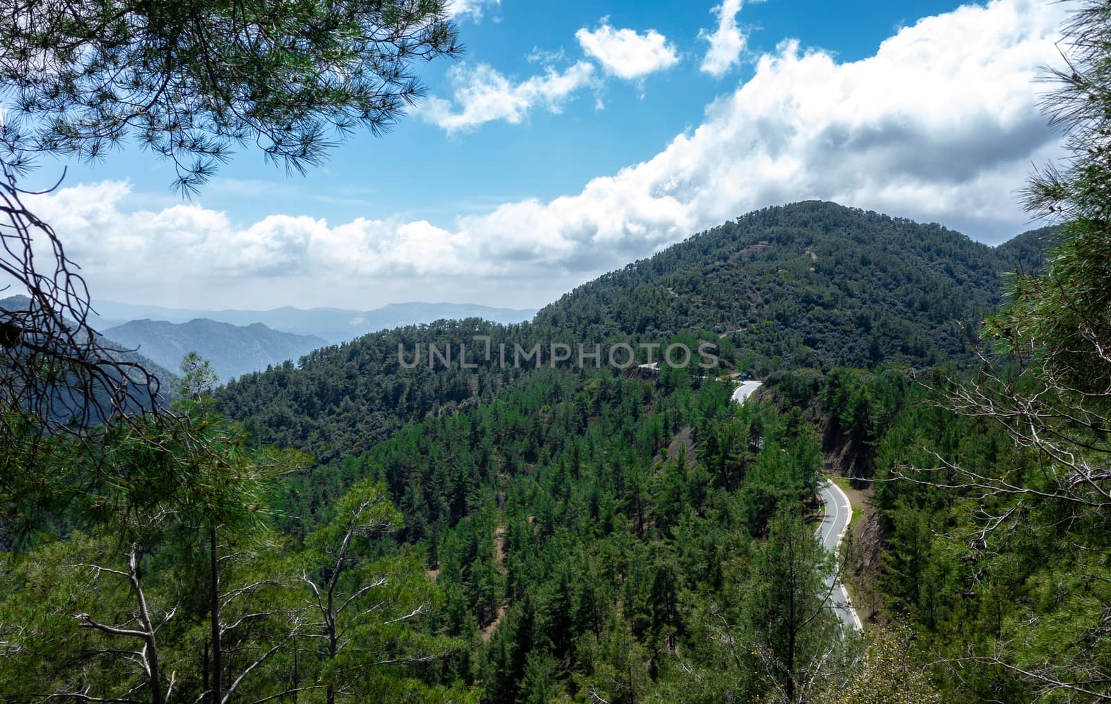 Forest-covered green hills on a bright Sunny summer day in the mountains of Central Cyprus.