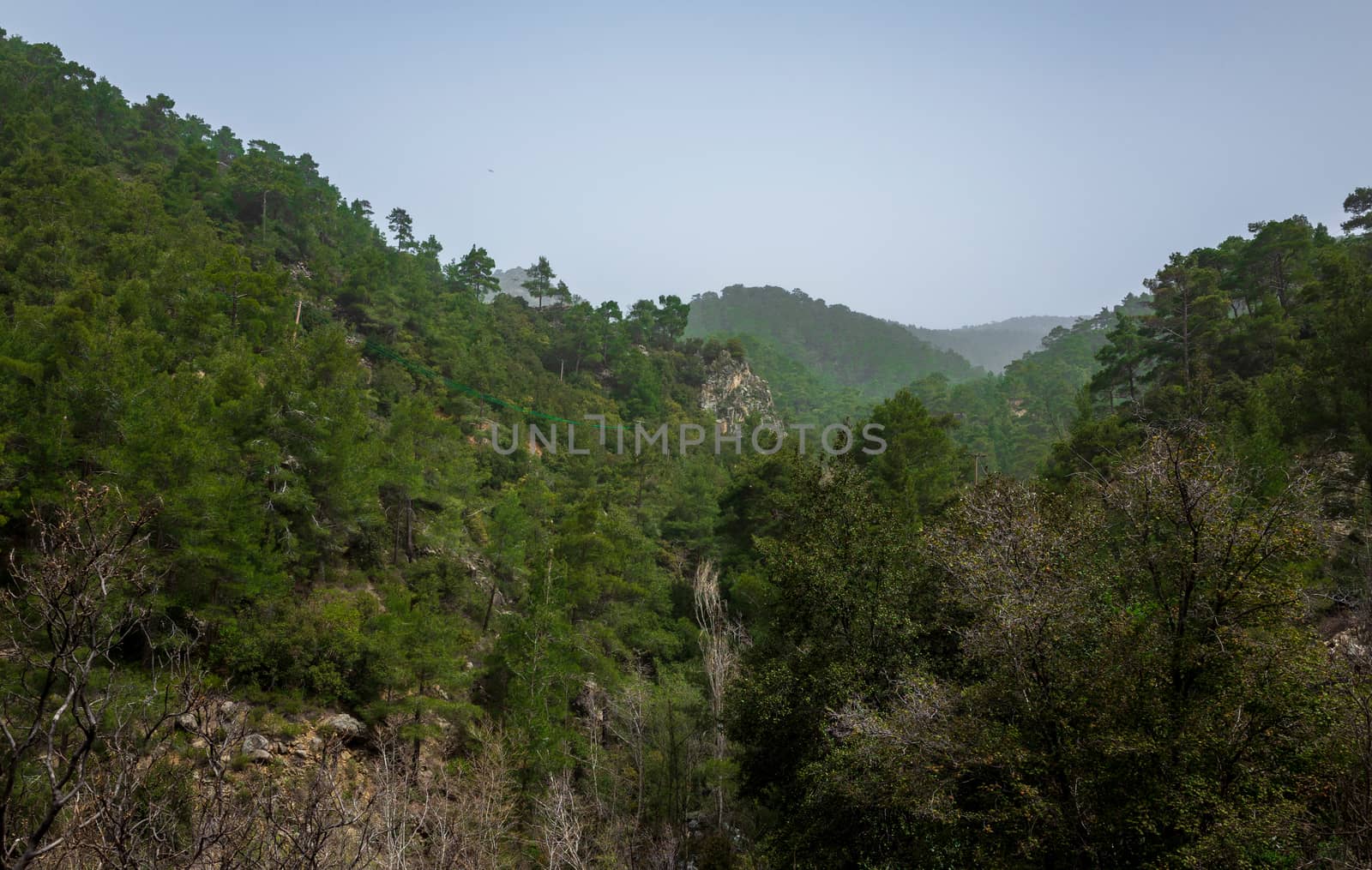 Forest-covered green hills on a bright Sunny summer day in the mountains of Central Cyprus.