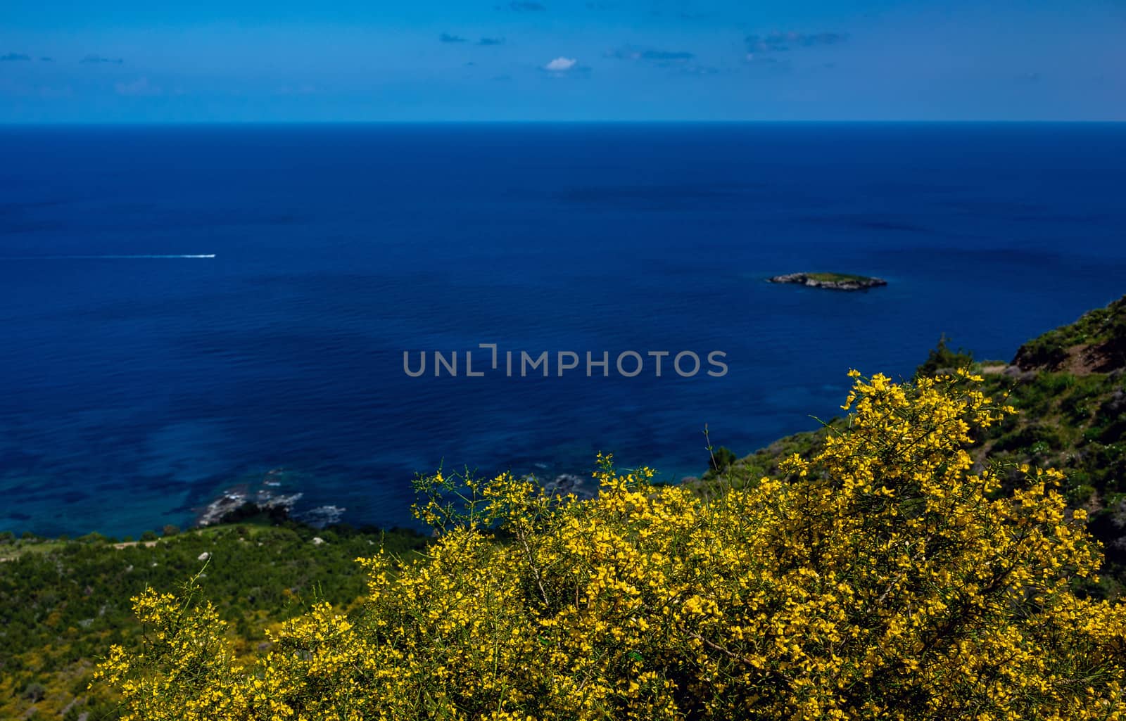 Green mountainous coast of the Mediterranean Sea on the Akamas Peninsula in the northwest of the island of Cyprus.