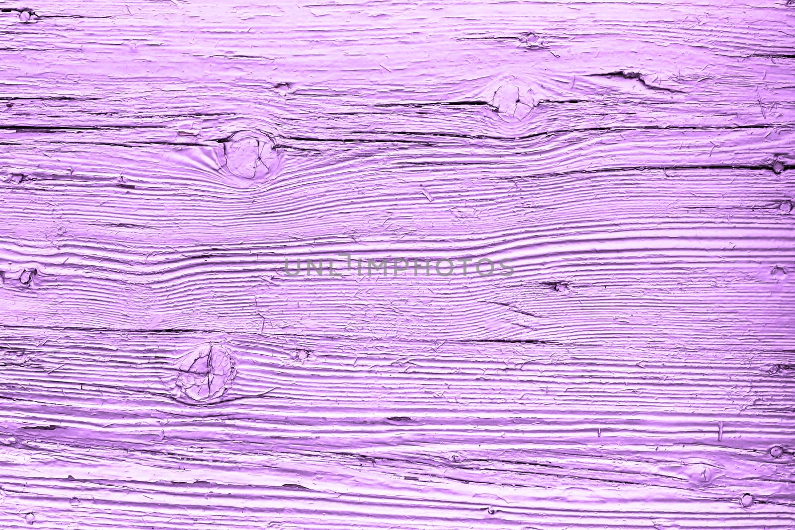 Violet wood texture with natural patterns background