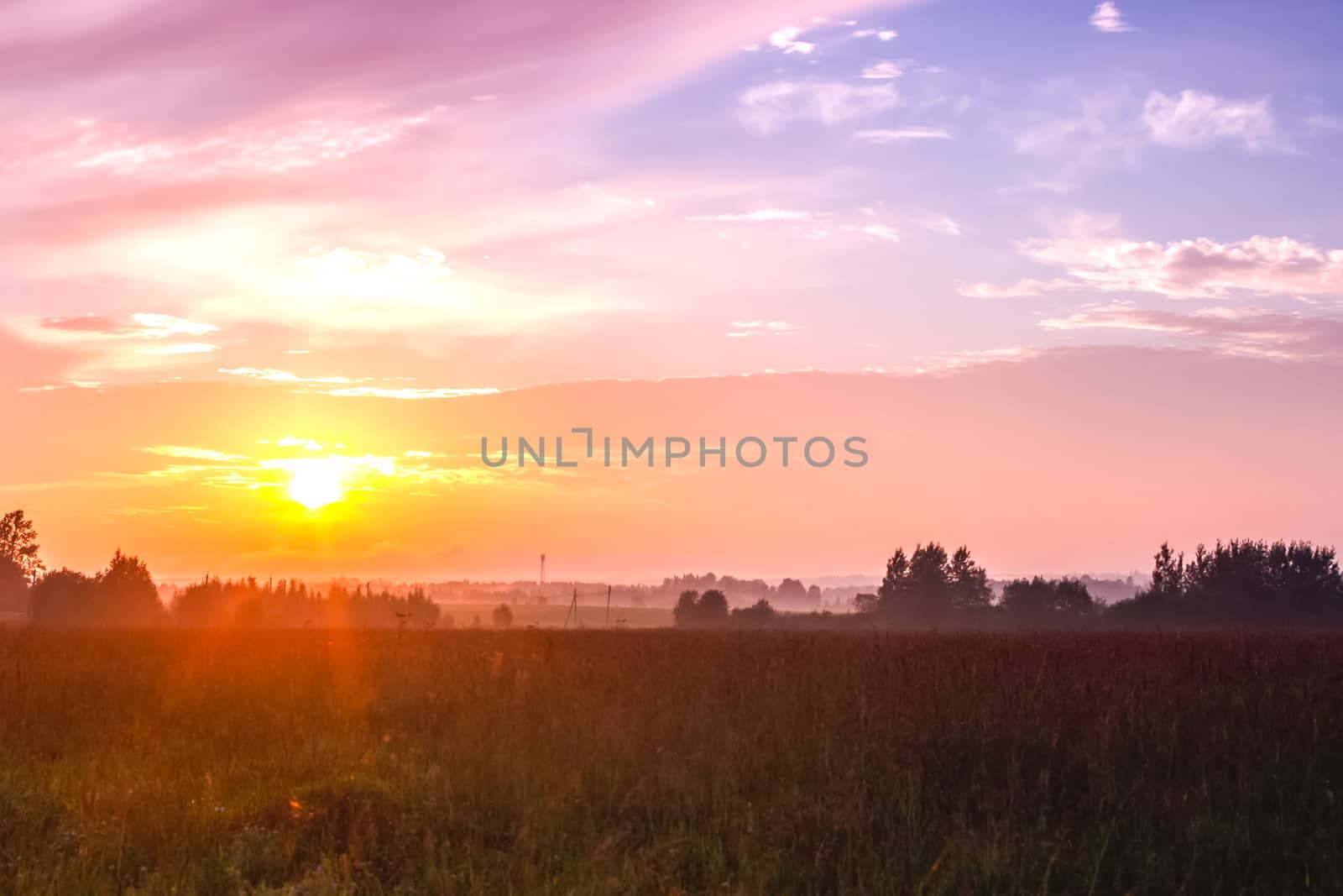 Sunset of the forest against the background of clearing and forest strip. Sunset in the steppe.