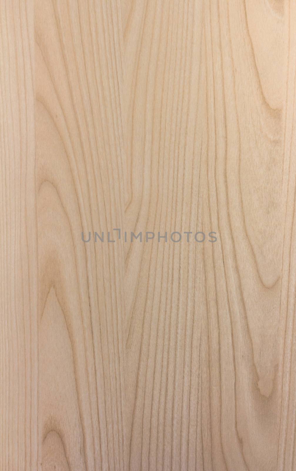 Surface of wood background with natural pattern