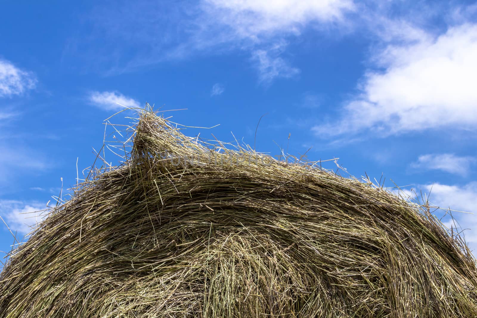 Close up top of a bale of hay with blue sky and clouds in the background.