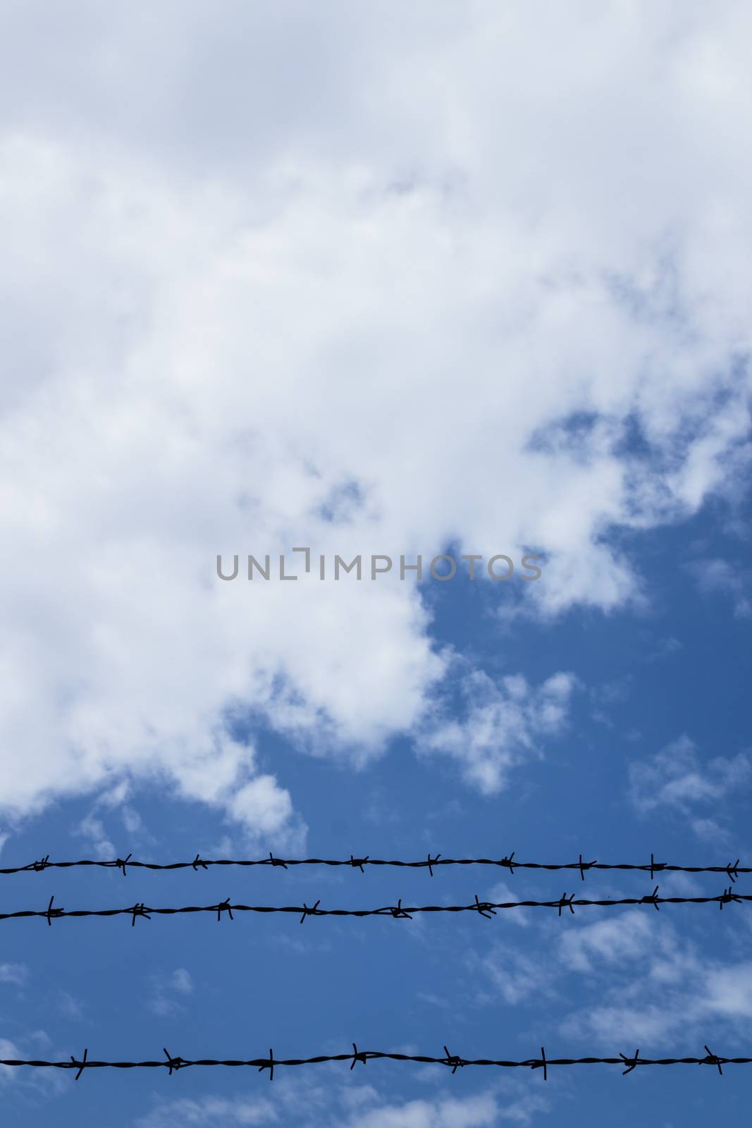 Barbed wire fence with blue sky and clouds in the background.