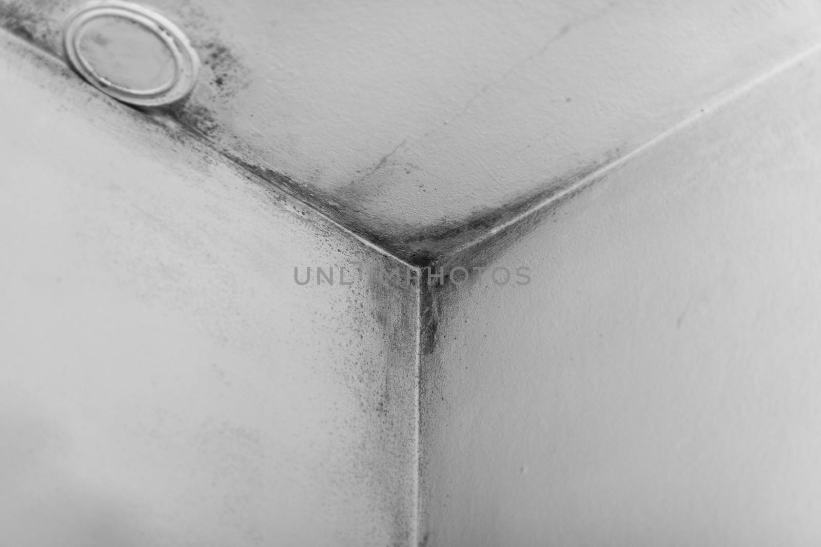 Mold on the walls corner in the room stock photo by adamr