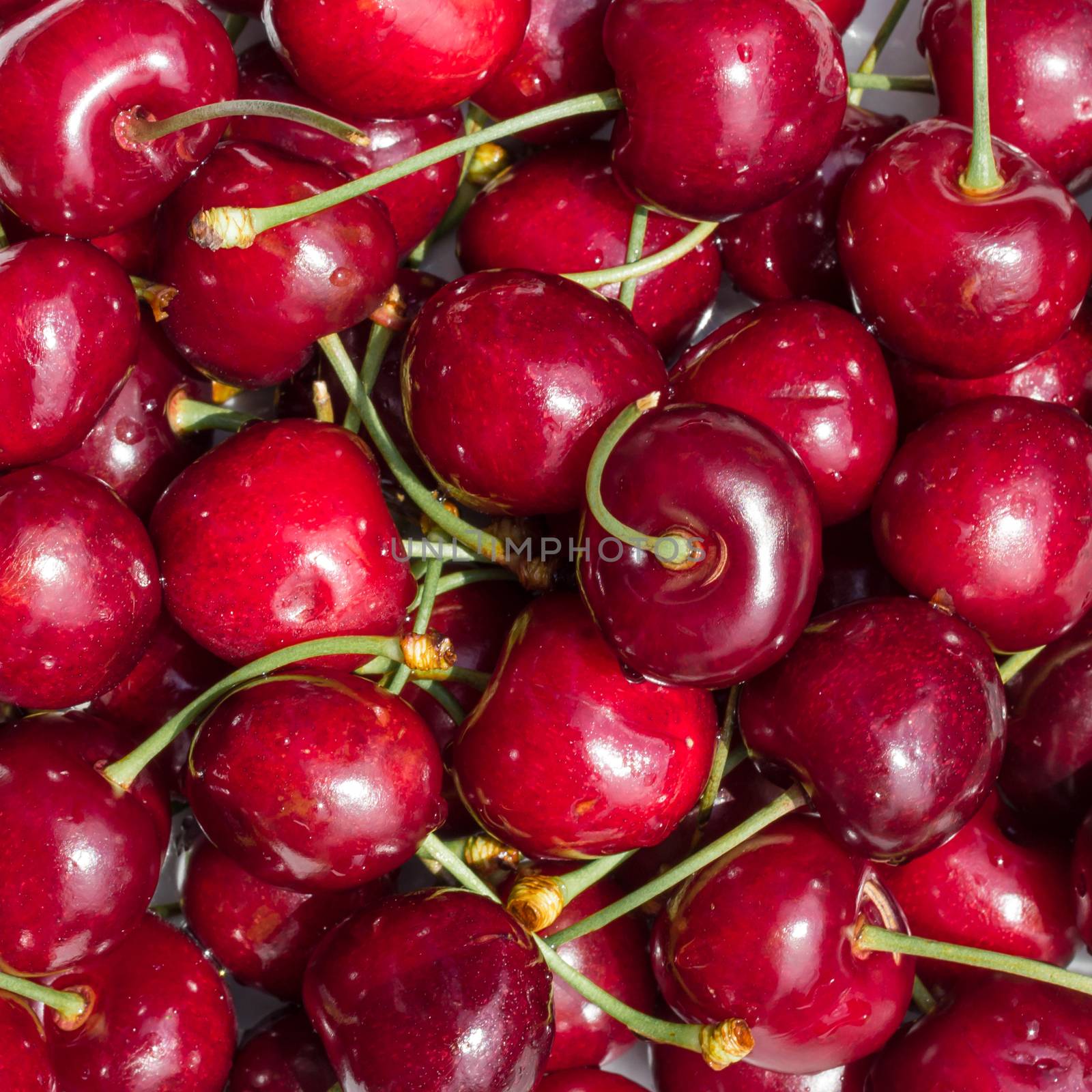 Cherries background by germanopoli