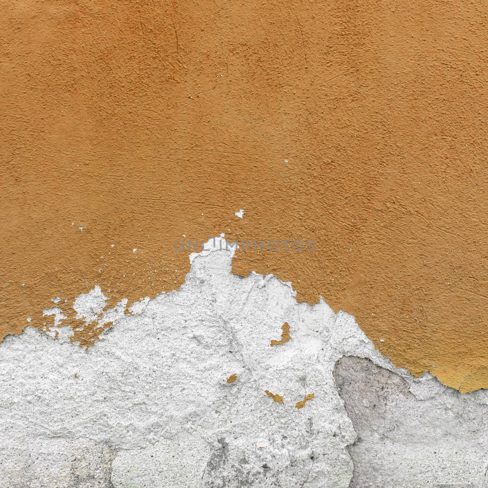 Wall covered with plaster crashed by germanopoli