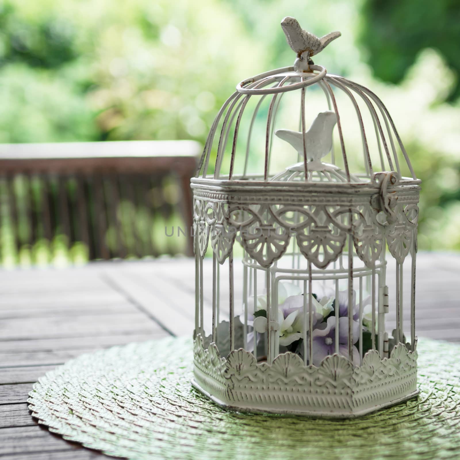 Closeup view of a vintage bird cage with the background out of focus.