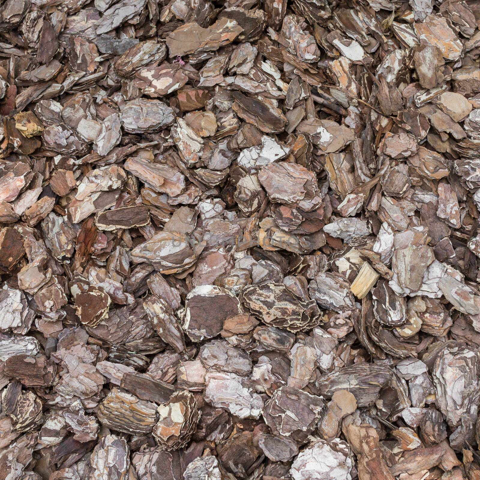 Flakes of bark used as an ornamental element for the gardening