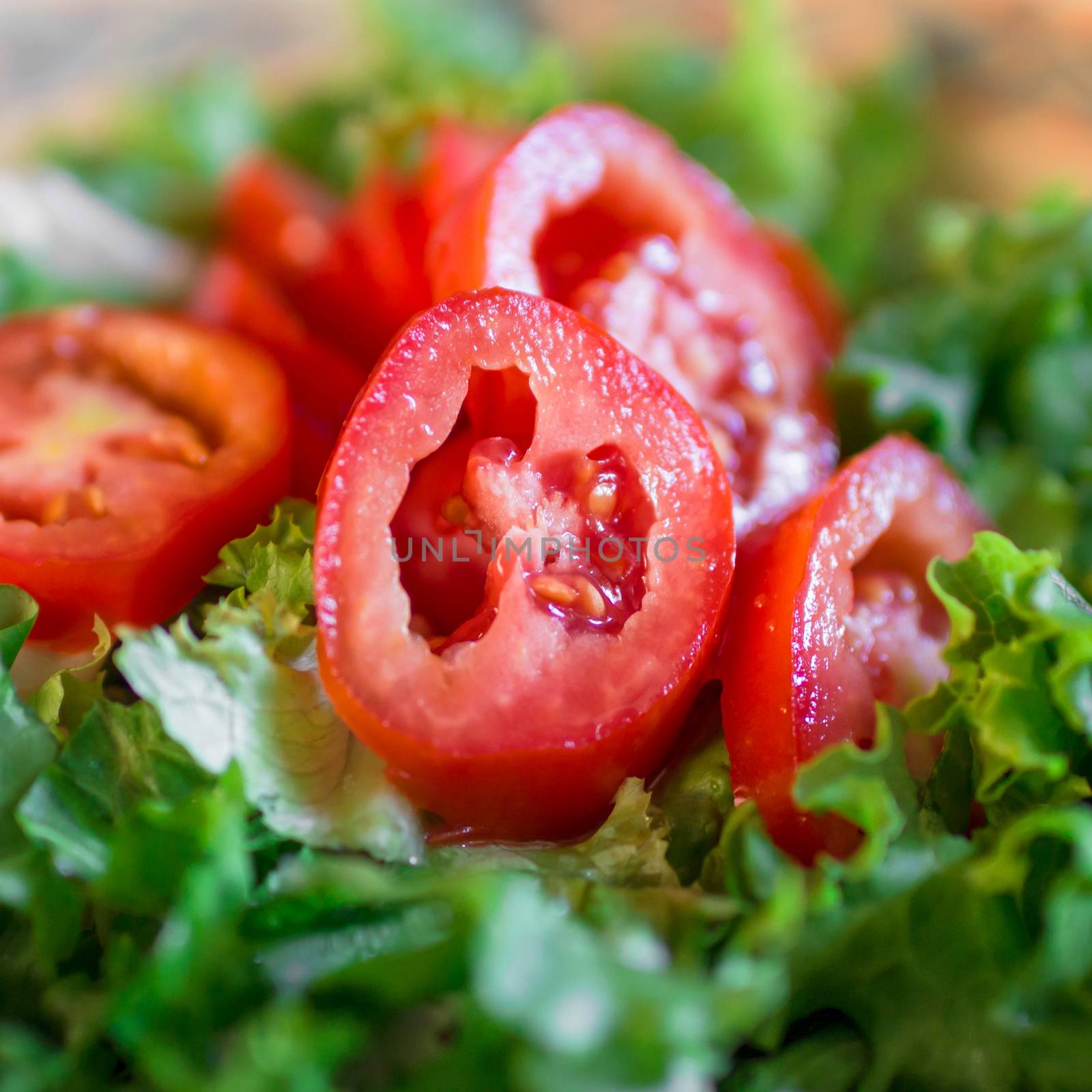 Salad with lettuce and fresh tomatoes.