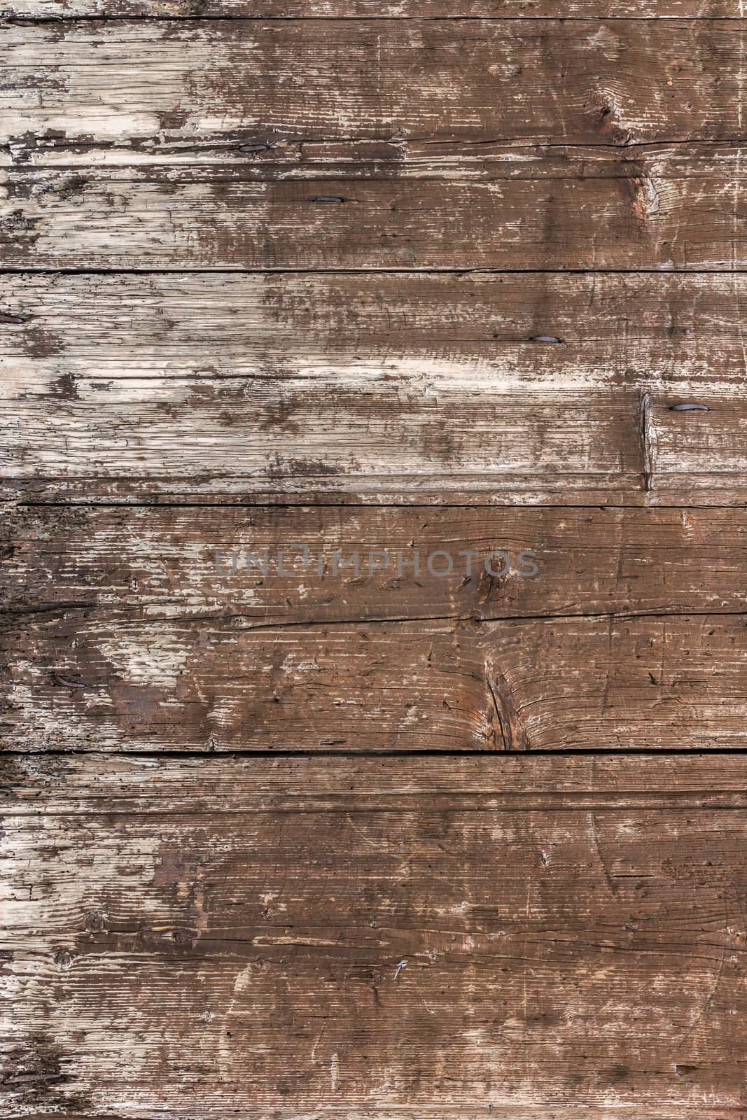 Weathered wooden background by germanopoli