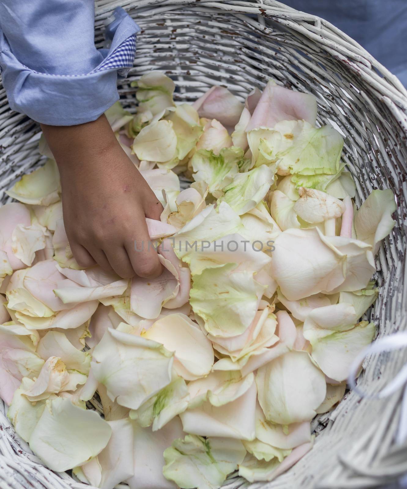 Hands grab rose petals in a wicker basket.