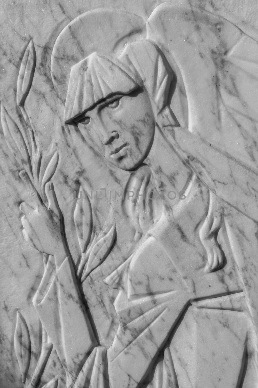 Bas-relief of a woman holding an olive tree. It can be used as backgrounds and concepts.