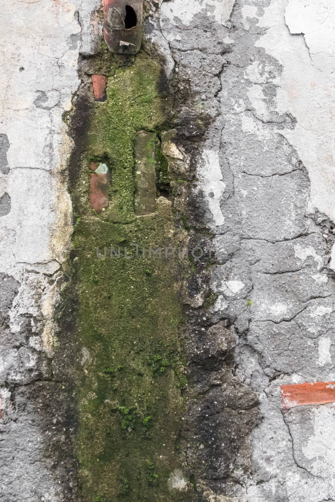 Texture of the old stone wall covered with moss. Rain water causing mold and peeling paint.