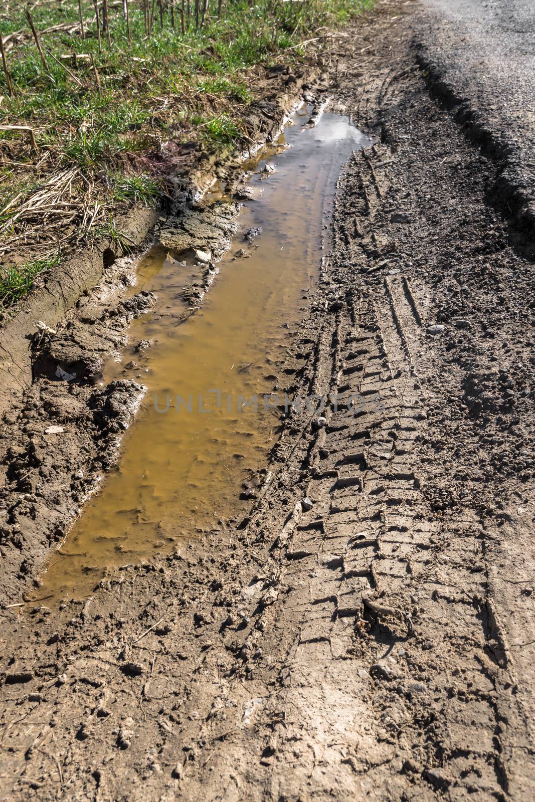 Muddy track by germanopoli