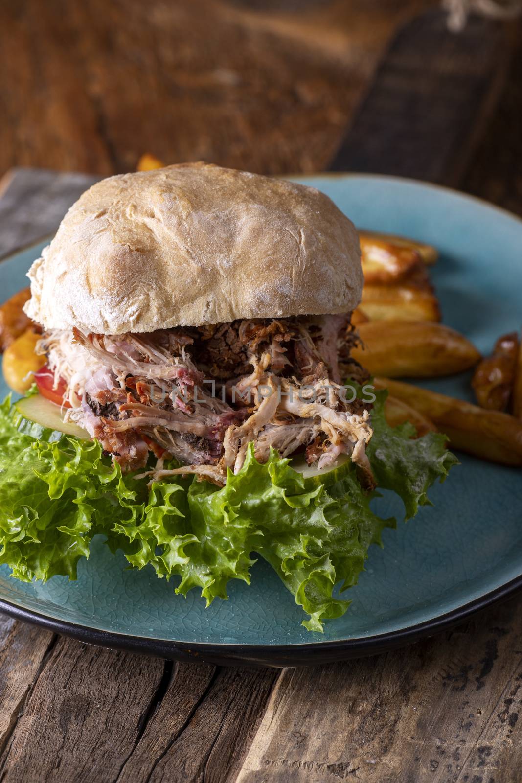 pulled pork in a bun with fries