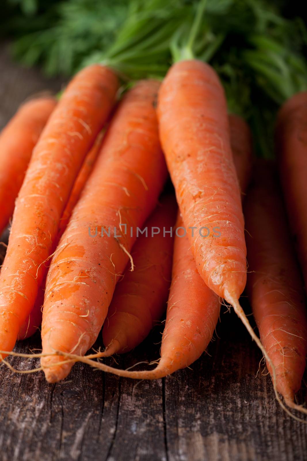 bunch of a carrots on a wooden plank by bernjuer