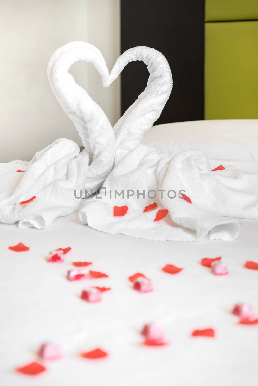 White two towel swans on the bed by germanopoli