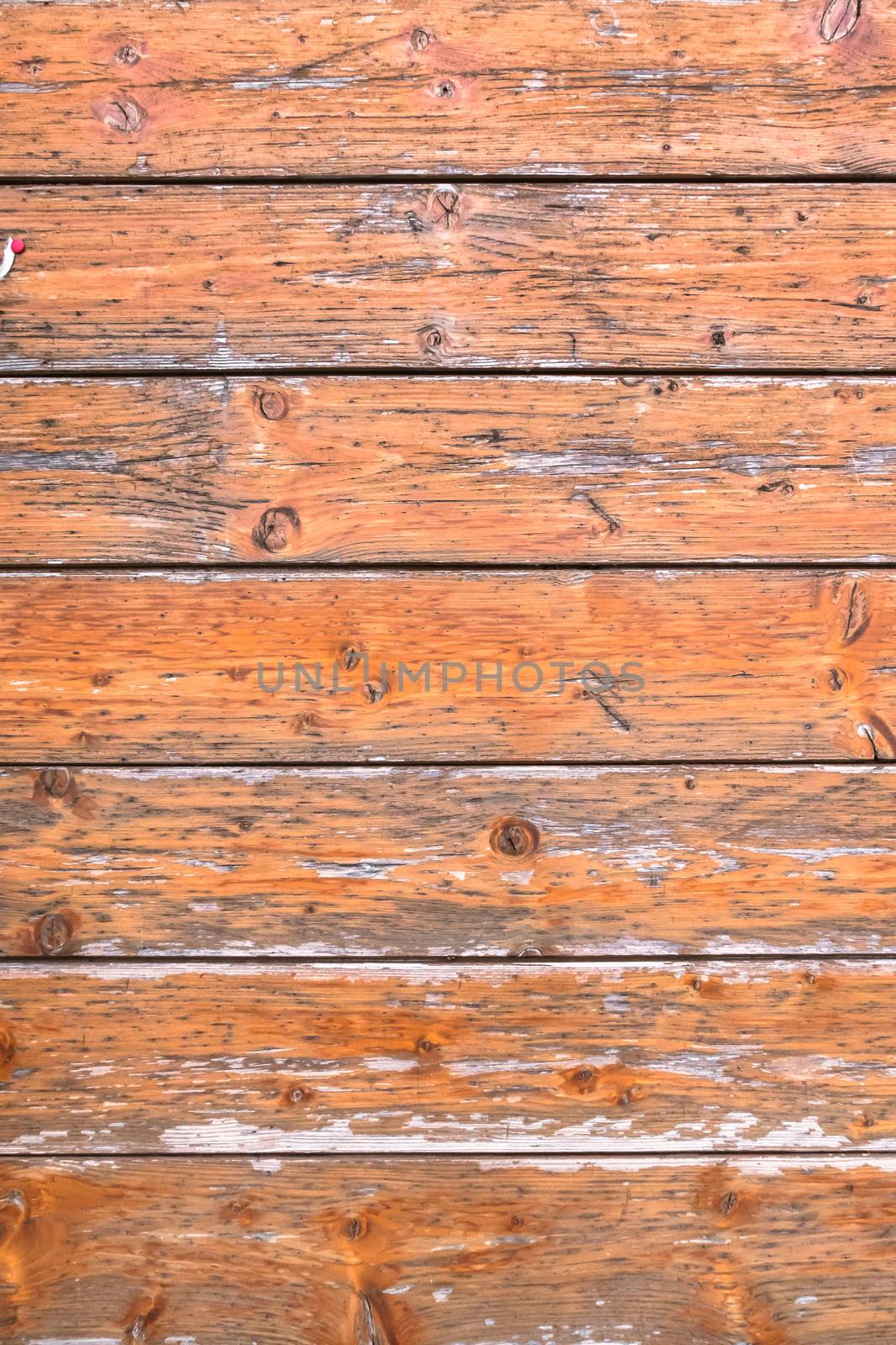 Background olive wood. Vintage wood background.