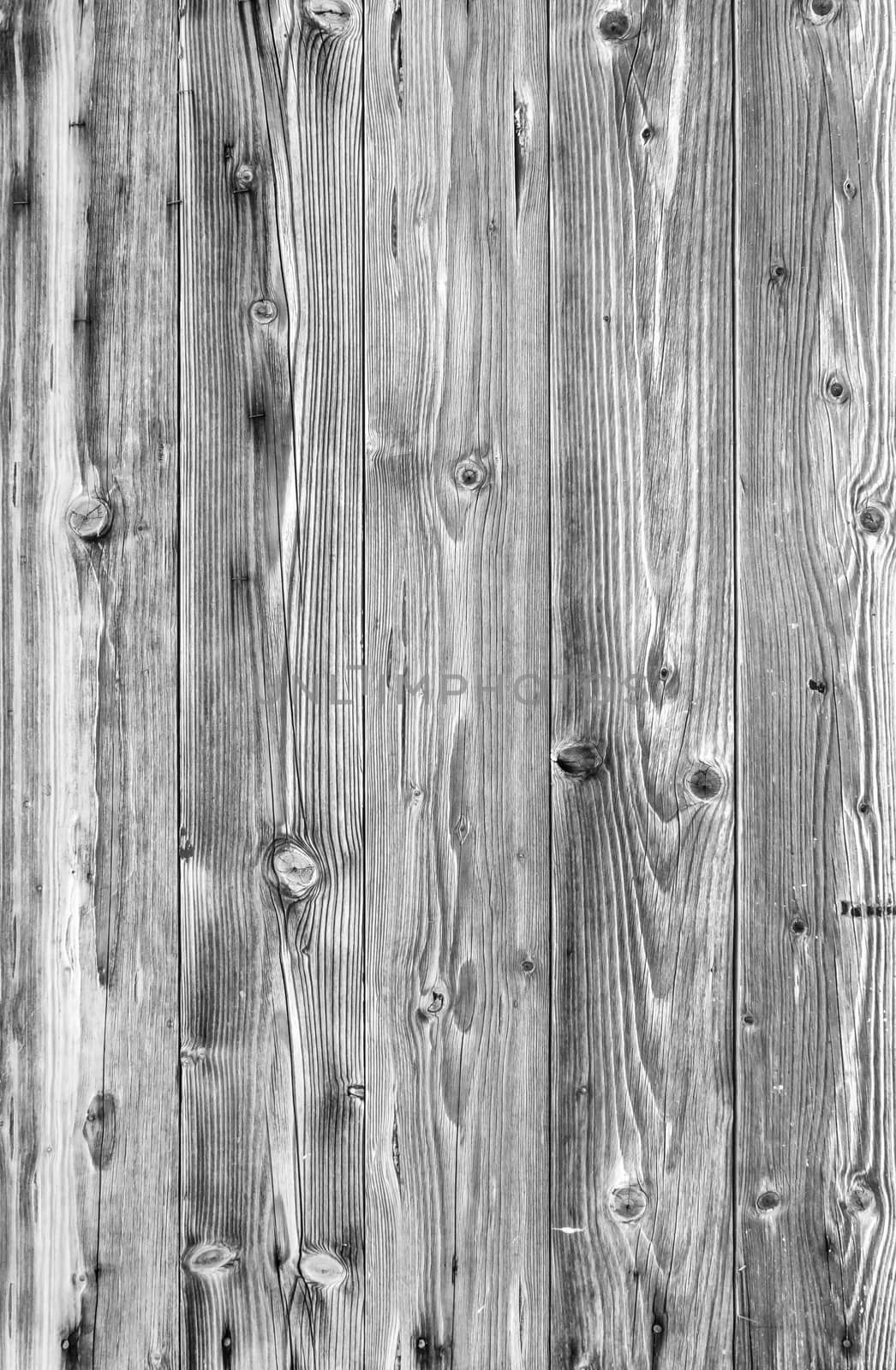 Wooden vintage background by germanopoli