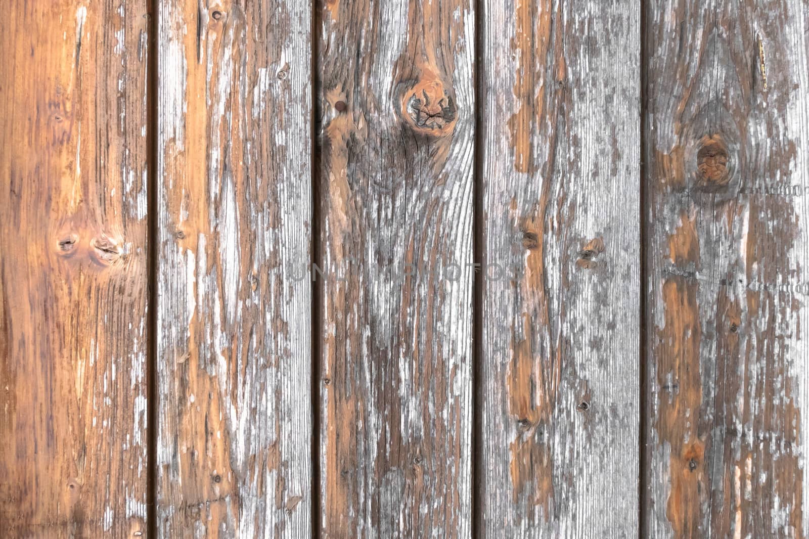 Wood background. Rustic wooden background, scratched and damaged by time.