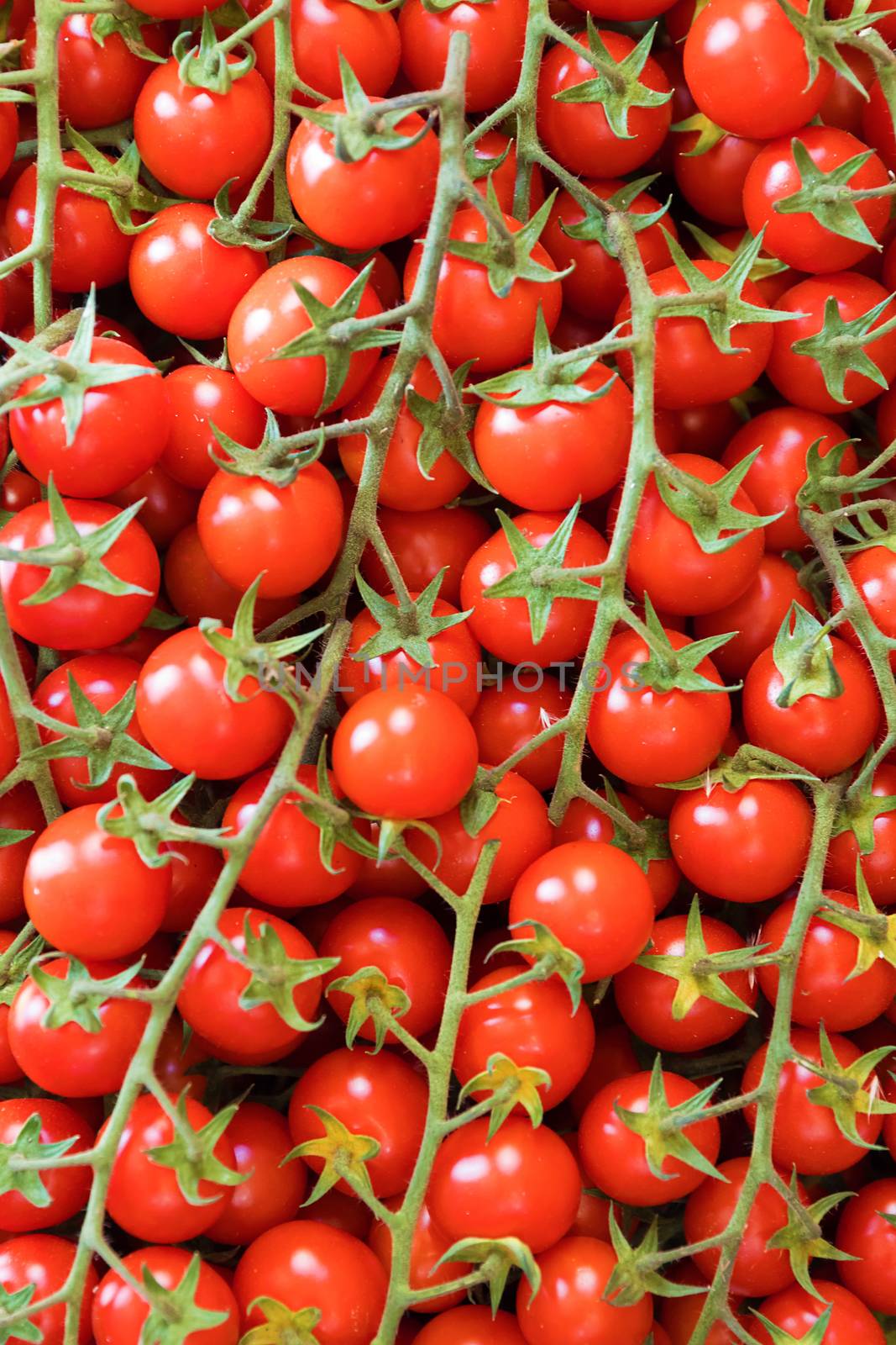 Cherry tomatoes. Healthy tomatoes background. Top view.