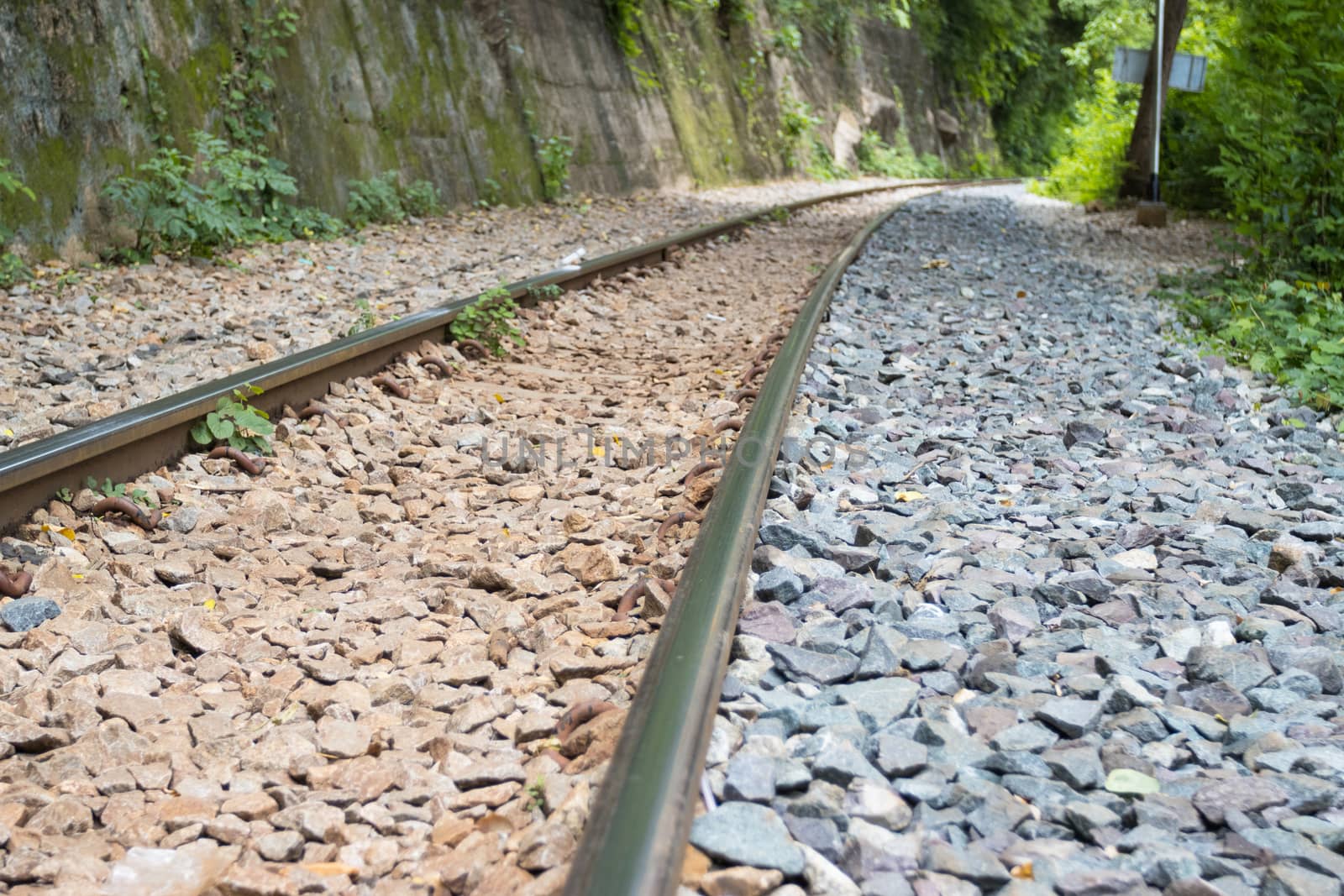 Iron Railway tracks railroad for Trains, Forward line view and tree background