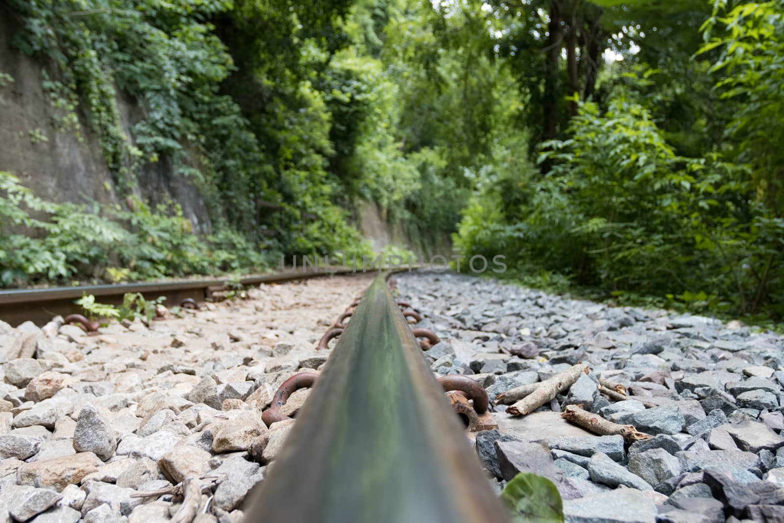 Iron Railway tracks railroad for Trains, Forward line view and tree background
