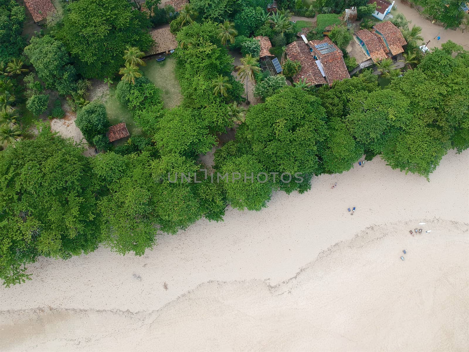 Aerial view of white sandy beach in tropical country. Sandy tropical beach with palm trees. holiday destination. Brazil