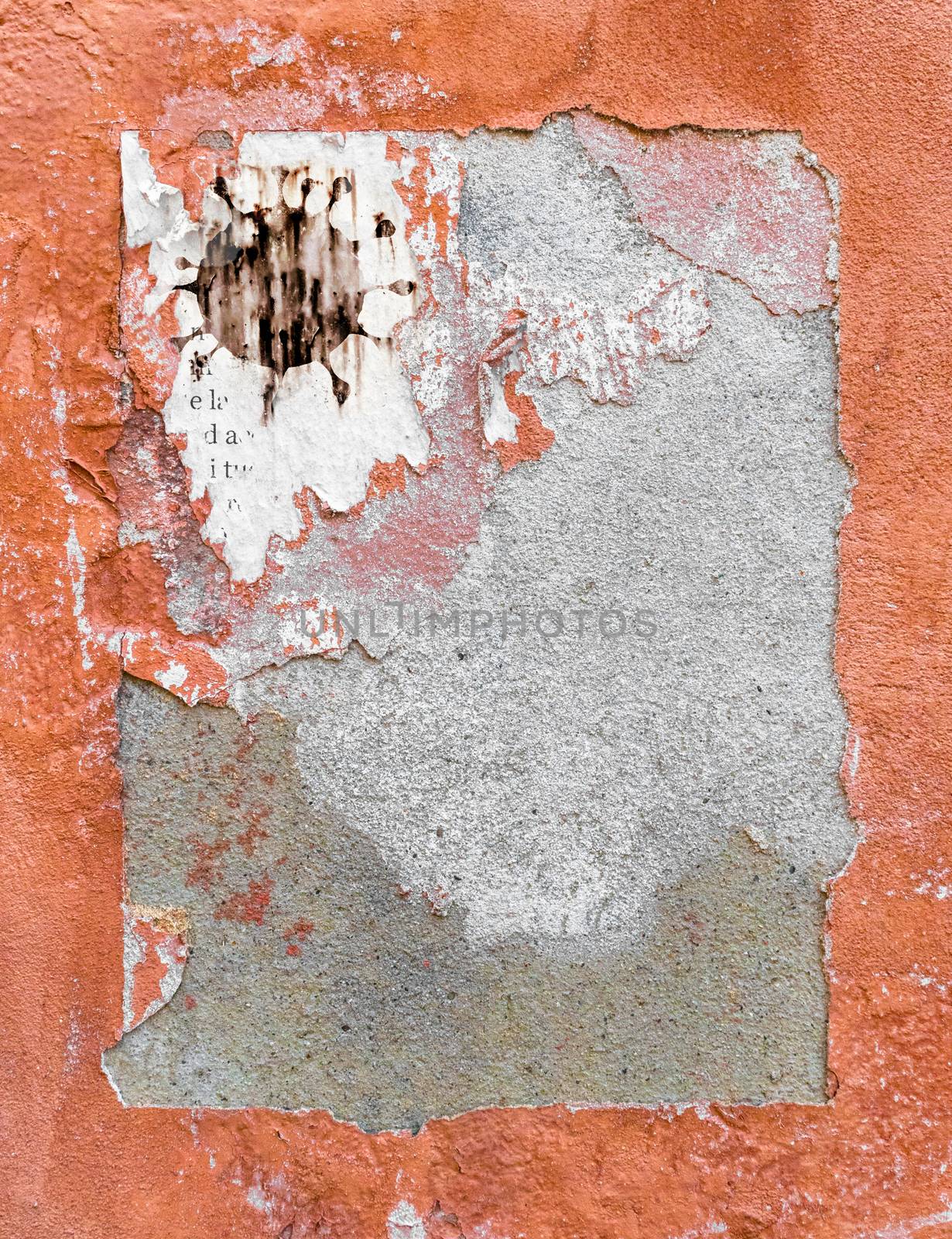 Torn leaflet with logo COVID-19 on grungy wall by germanopoli