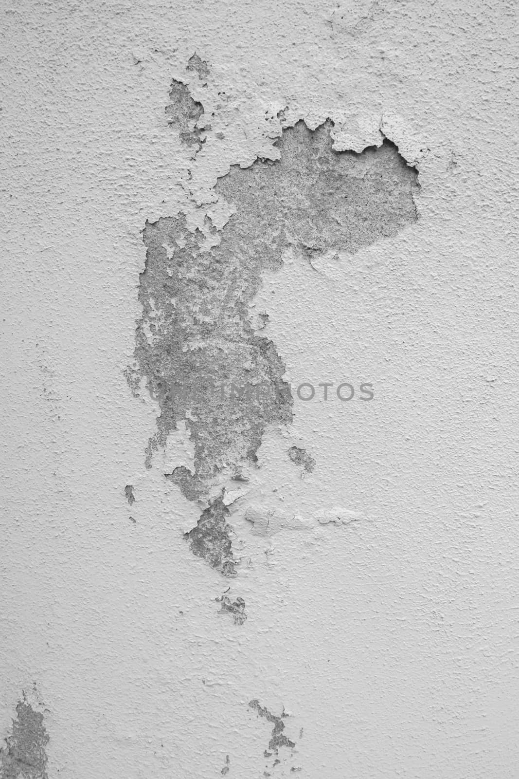 Gray and white peeling plaster. Abandoned wall. Ideal for backgrounds or concepts.