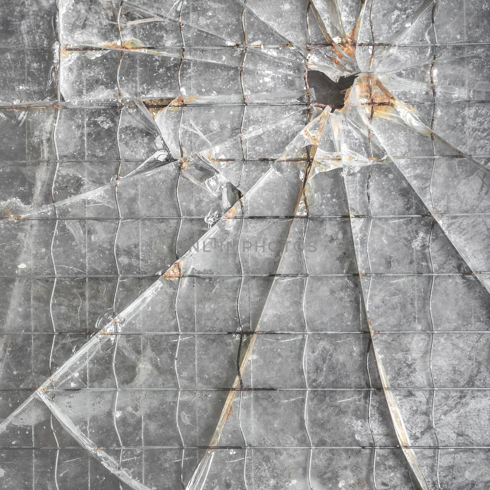 Shattered reinforced glass background. Closeup of broken glass texture.