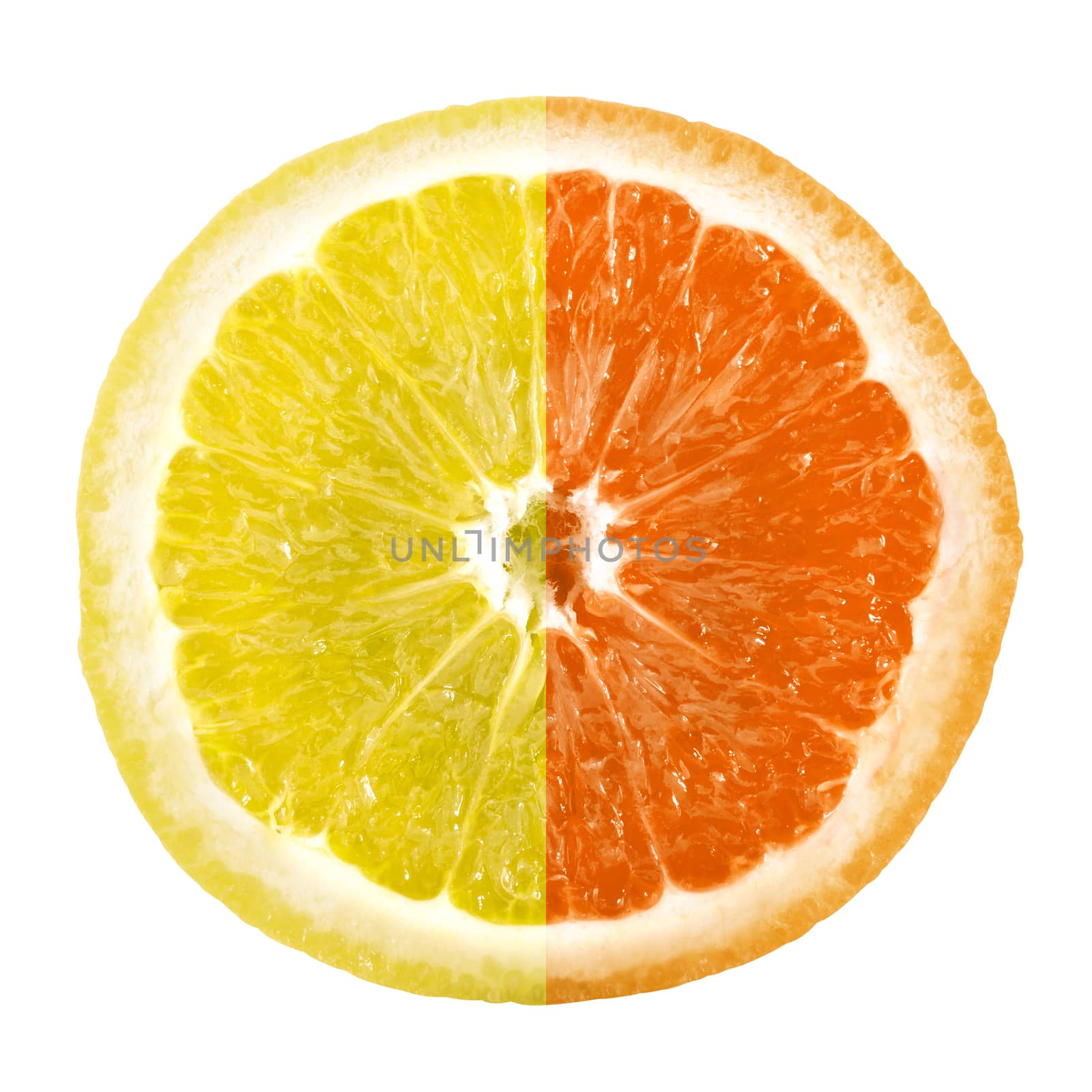 Mix of lemon and orange by germanopoli