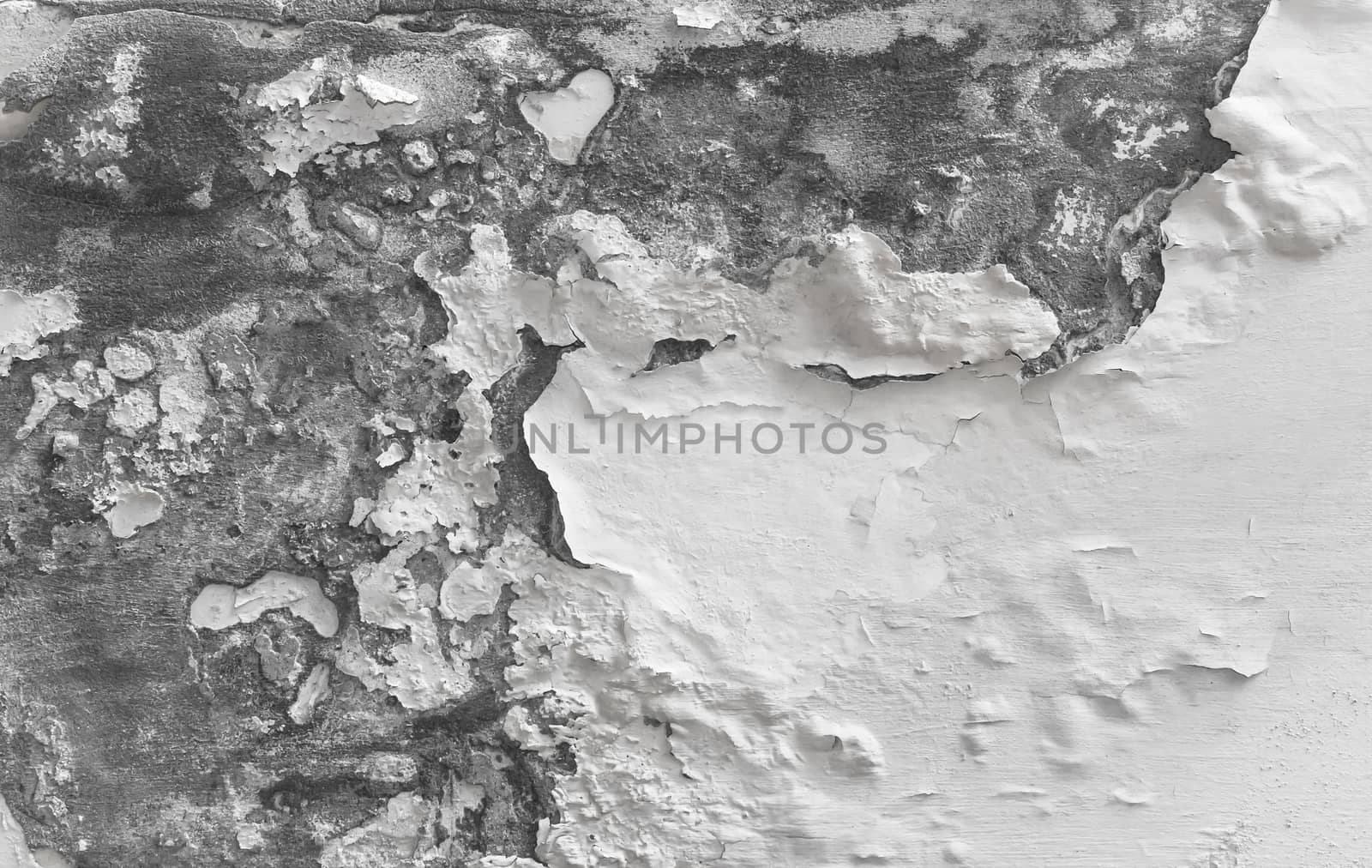 Peeling paint indicating damp on the wall. Water Leaks. Ideal for backgrounds and concepts.