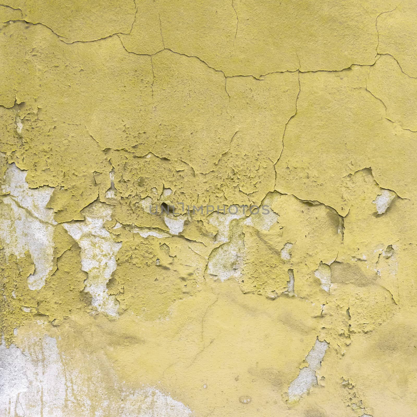 Old peeled yellow wall by germanopoli