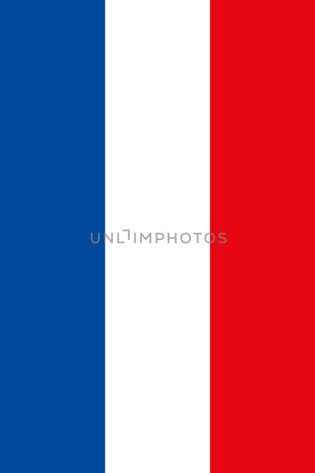 Vertical French flag. Official state symbol of country.