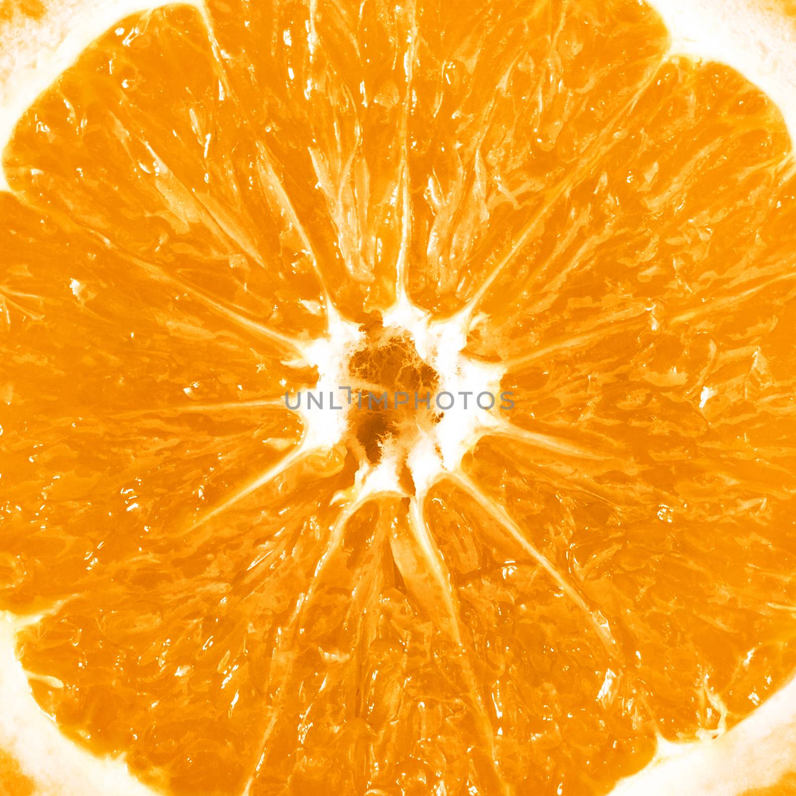 Details of skin and texture of a orange slice. Extreme close-up. Ideas for background.