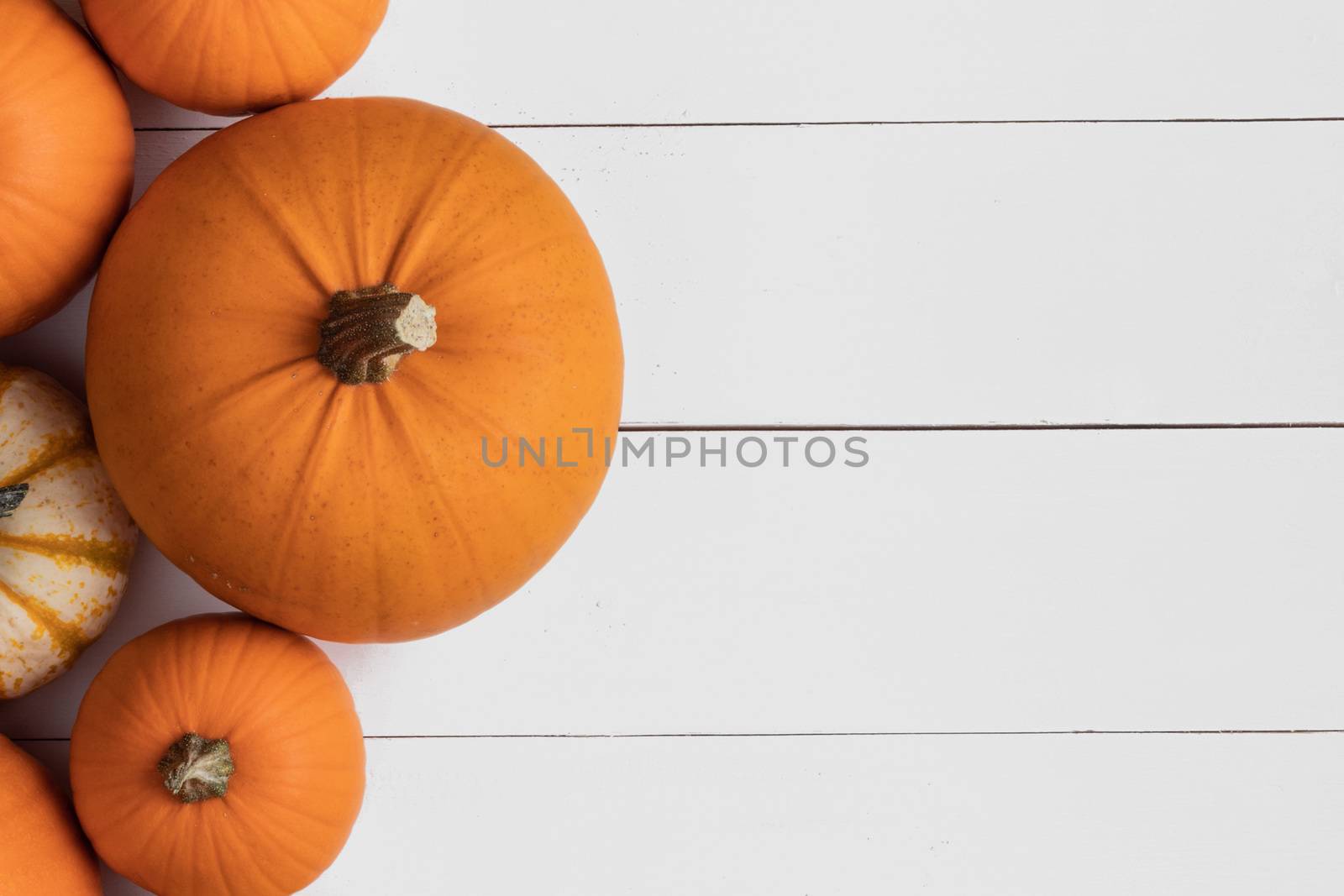 Many orange pumpkins on wooden background , Halloween concept , top view with copy space