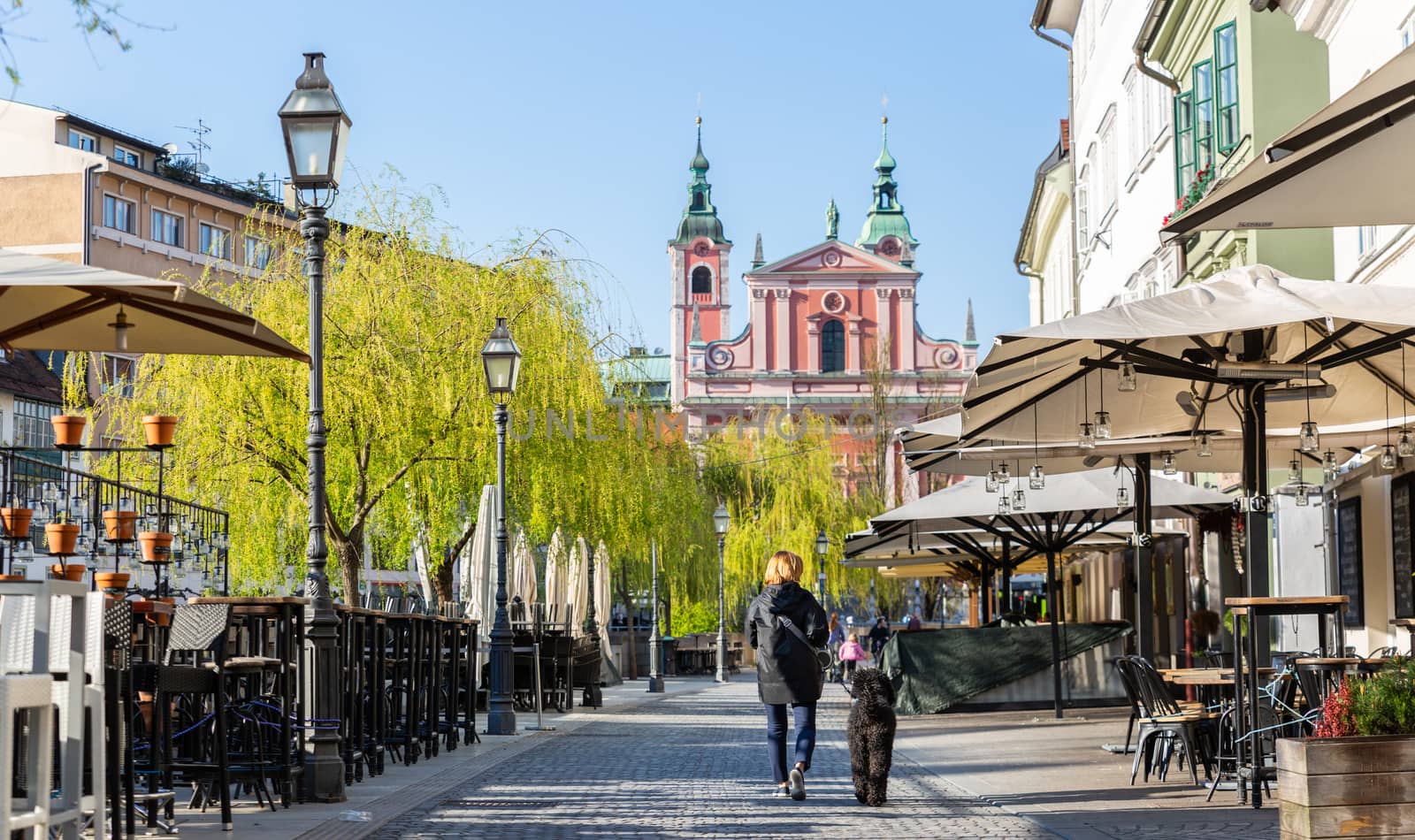 Rear view of unrecognizable woman walking a dog in empty old medieval Ljubljana city center during corona virus pandemic. Empty bars and restaurants. Almost no people outside on streets.
