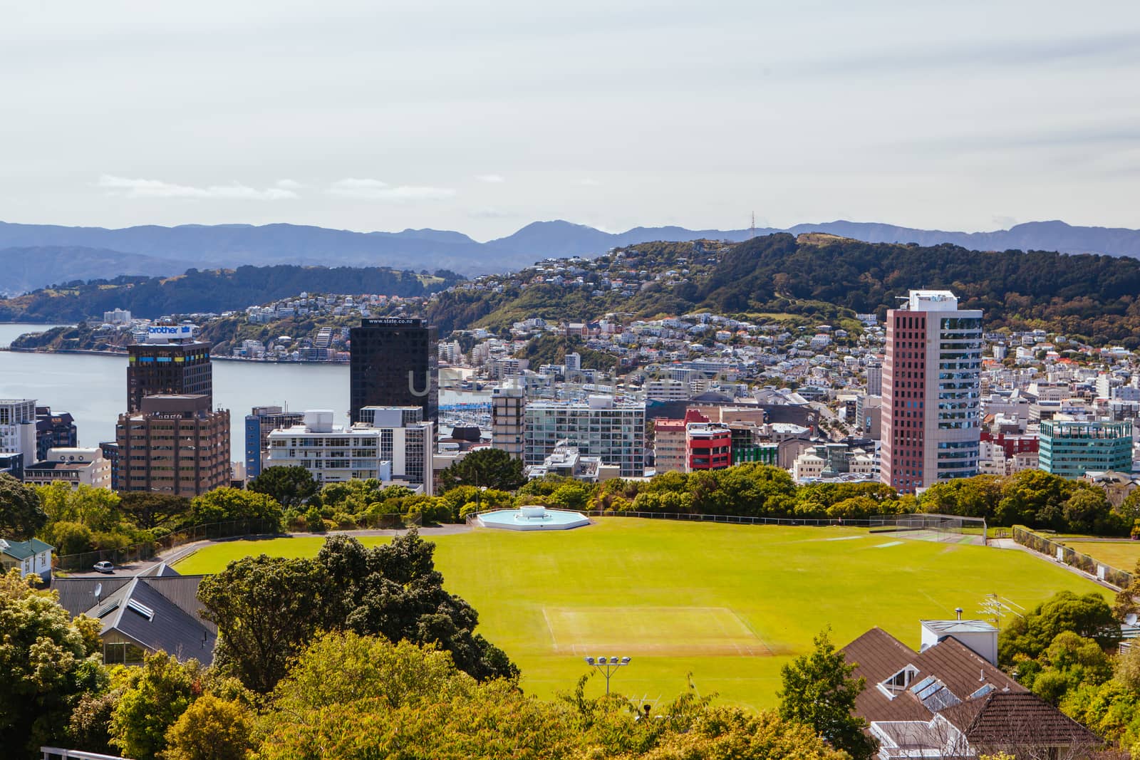 View over Wellington skyline and harbour from near Carter Observatory and Cable Car in Wellington, New Zealand