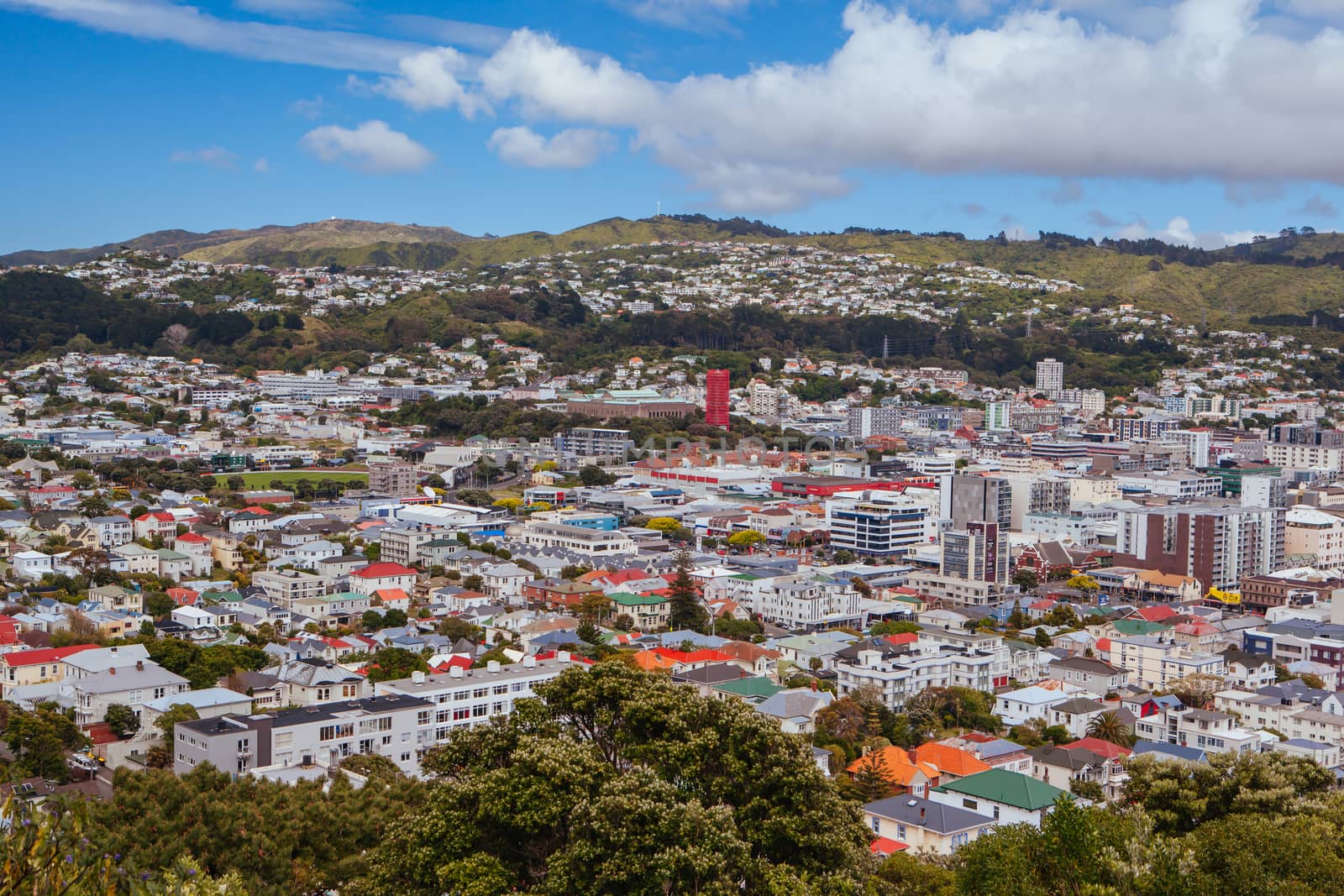 View from Mt Victoria over Wellington on a clear spring day in North Island, New Zealand