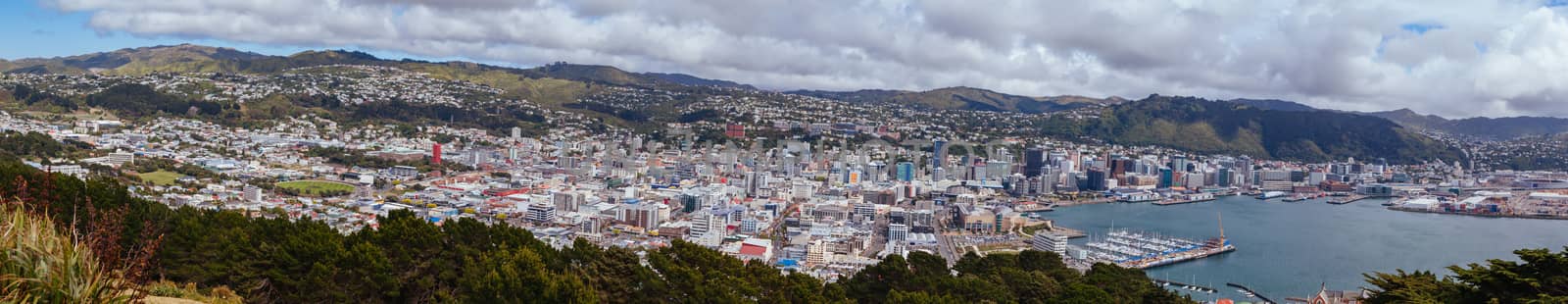 View from Mt Victoria over Wellington on a clear spring day in North Island, New Zealand