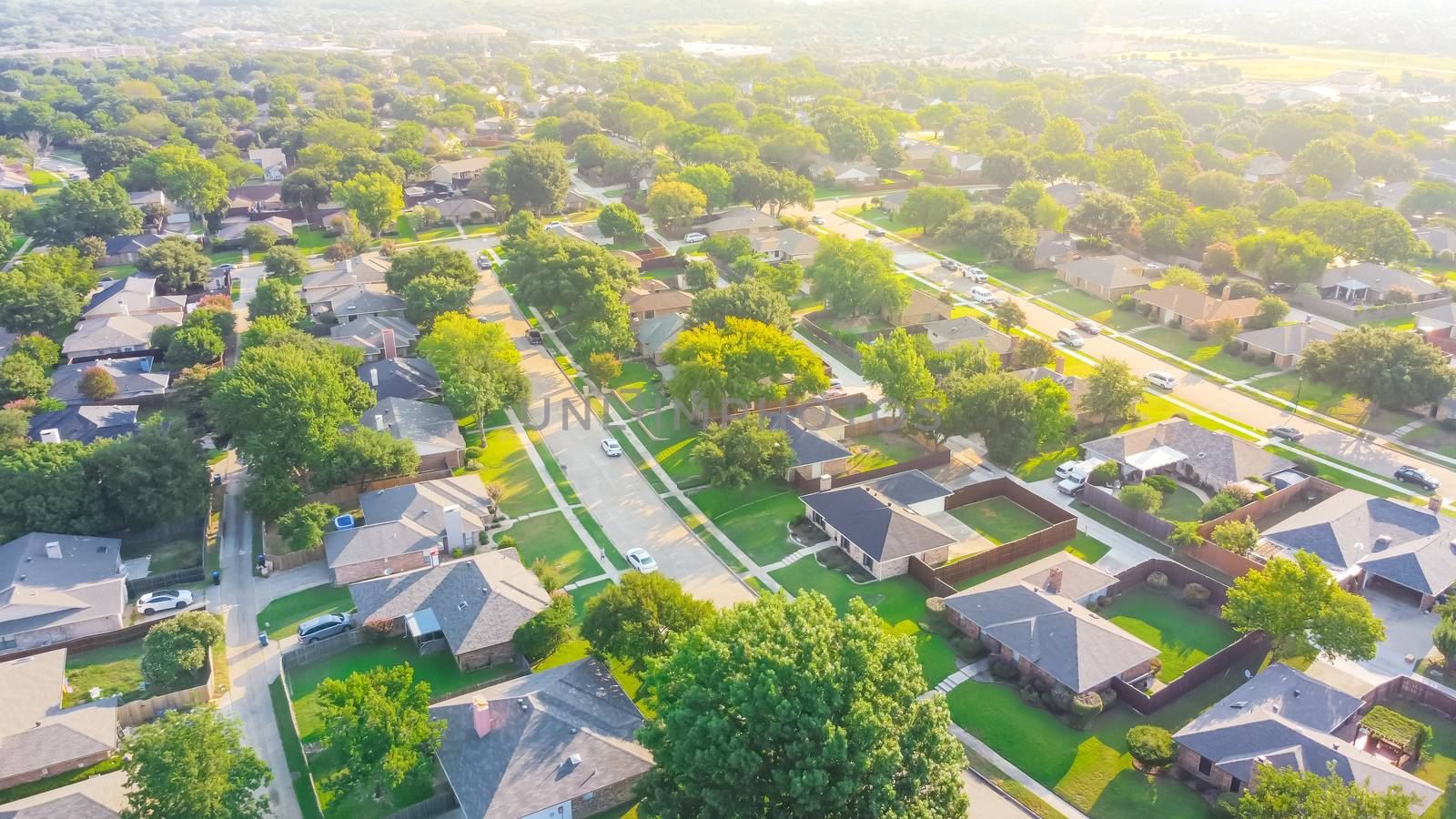 Aerial view urban sprawl subdivision near Dallas, Texas, USA row of single family homes large fenced backyard by trongnguyen