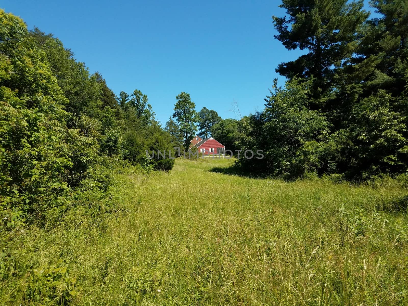 red house and green grass field and trees by stockphotofan1