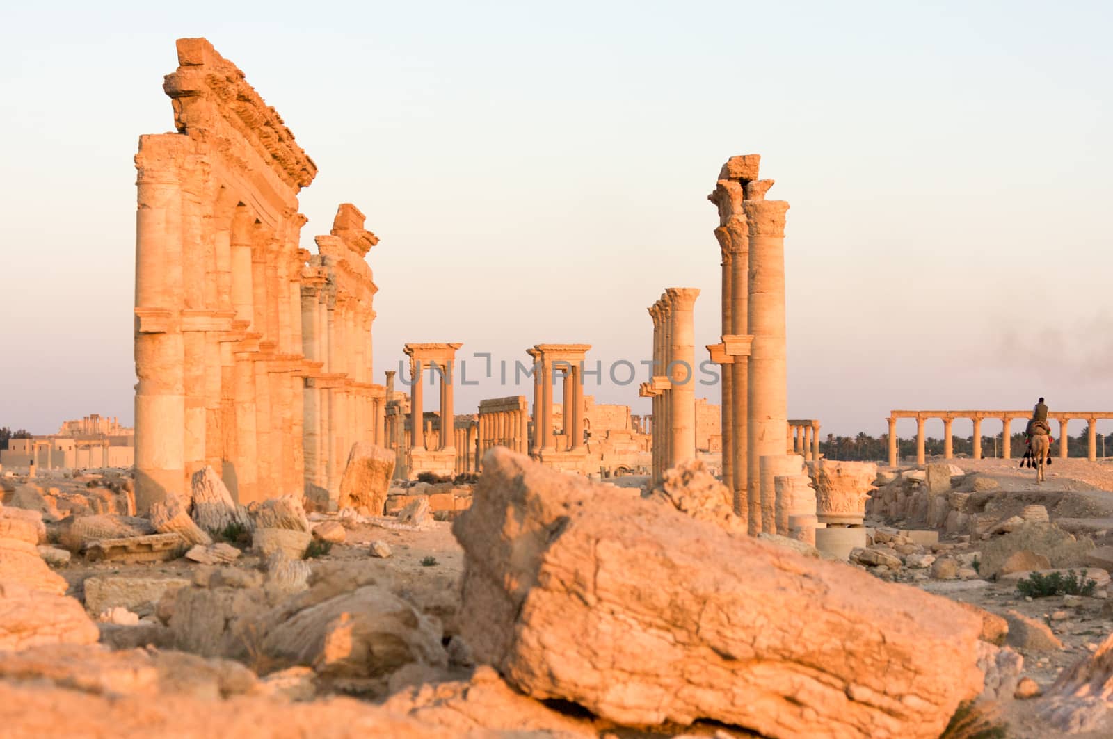 Palmyre Syria 2009 This ancient site has many Roman ruins, these standing columns shot in late afternoon sun with the citadel on the hill in the background . High quality photo