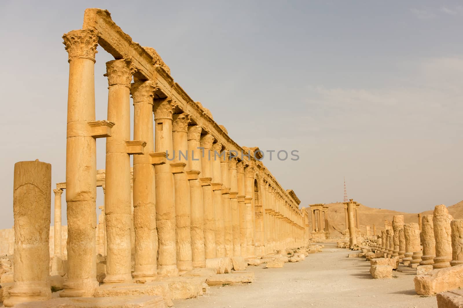 Palmyre Syria 2009 This ancient site has many Roman ruins, these standing columns shot in late afternoon sun with the citadel on the hill in the background . High quality photo