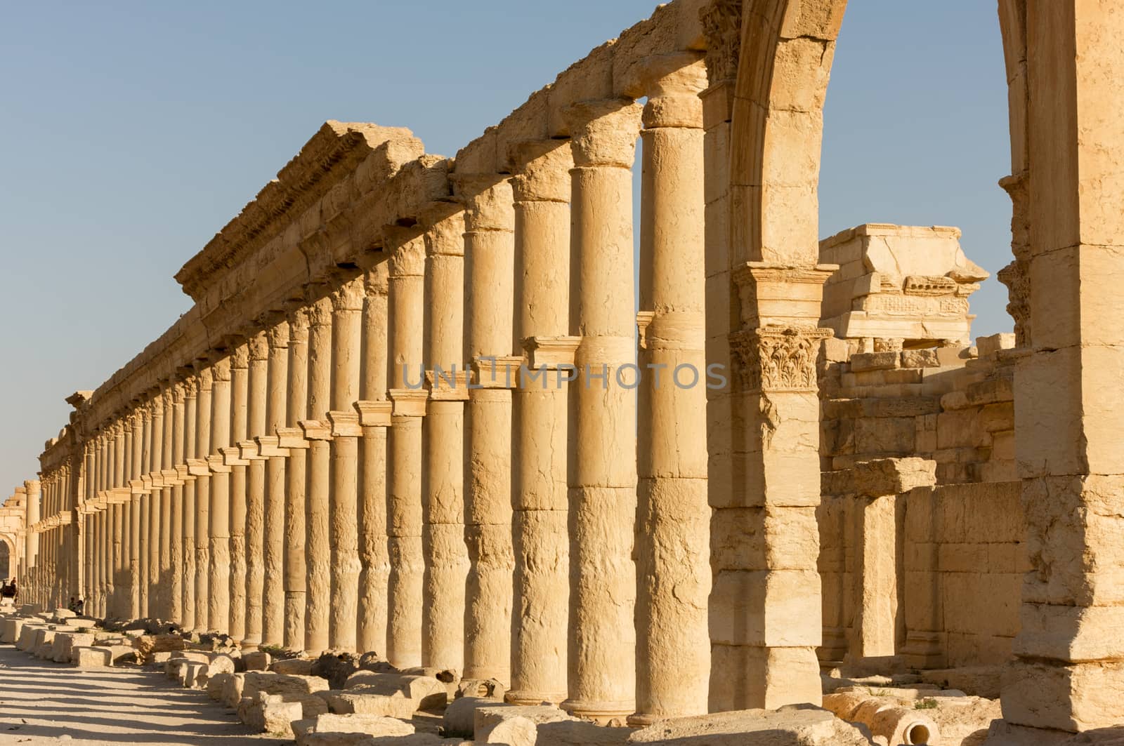 Palmyre Syria 2009 This ancient site has many Roman ruins, these standing columns shot in late afternoon sun with the citadel on the hill in the background . High quality photo