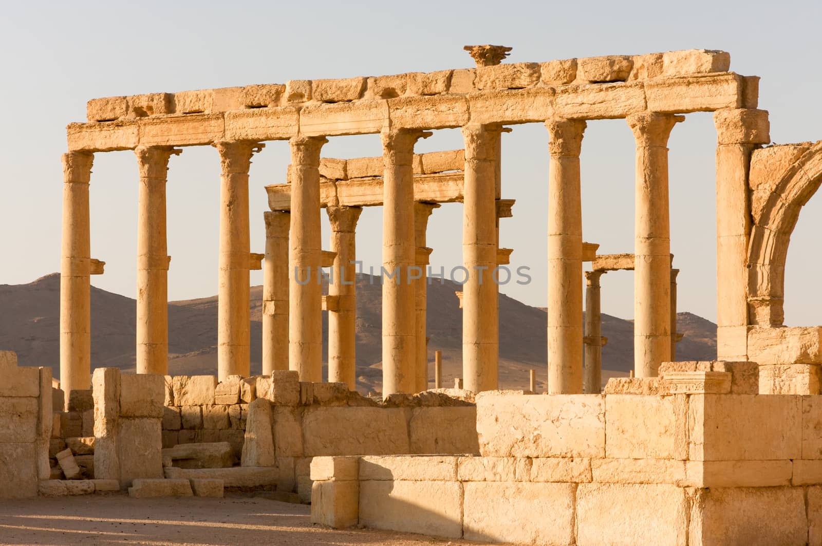 Palmyre Syria 2009 This ancient site has many Roman ruins, these standing columns shot in late afternoon sun with the citadel on the hill in the background . High quality photo