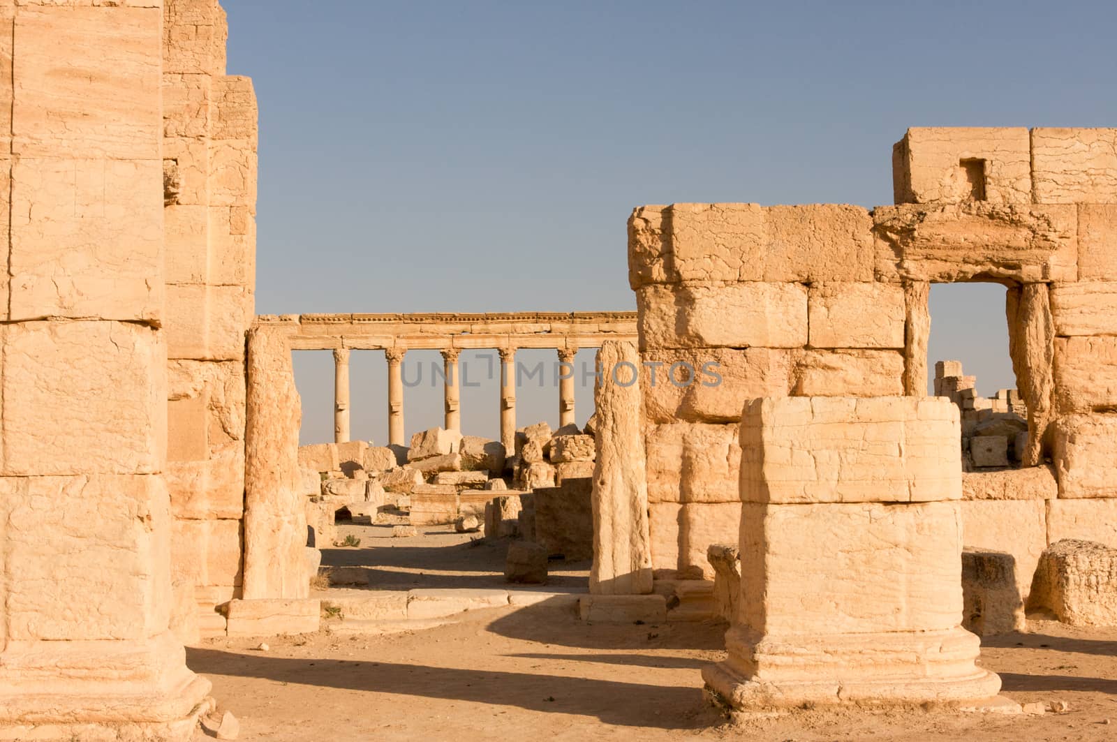 Palmyre Syria 2009 This ancient site has many Roman ruins, these standing columns shot in late afternoon sun with the citadel on the hill in the background . High quality photo