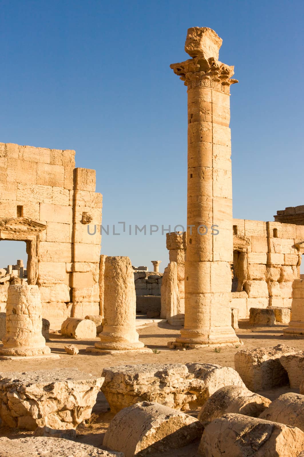 Palmyre Syria 2009 This ancient site has many Roman ruins, these standing columns shot in late afternoon sun with the citadel on the hill in the background . High quality photo